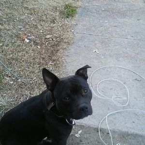 Meet your Posher, Melvin